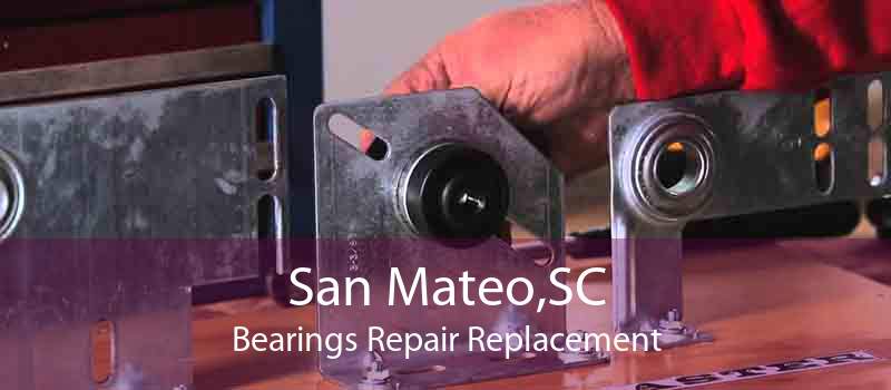 San Mateo,SC Bearings Repair Replacement