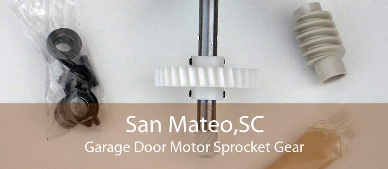 San Mateo,SC Garage Door Motor Sprocket Gear