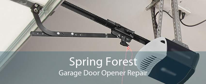 Spring Forest Garage Door Opener Repair