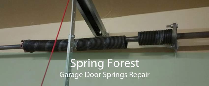 Spring Forest Garage Door Springs Repair