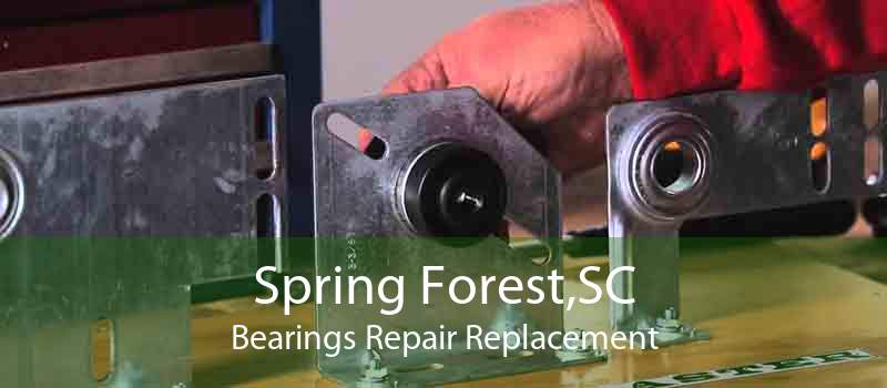 Spring Forest,SC Bearings Repair Replacement