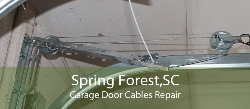 Spring Forest,SC Garage Door Cables Repair