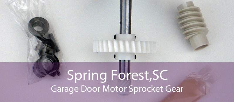 Spring Forest,SC Garage Door Motor Sprocket Gear
