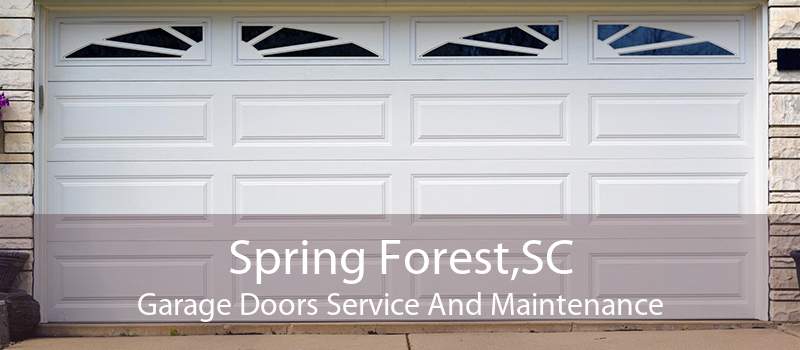 Spring Forest,SC Garage Doors Service And Maintenance