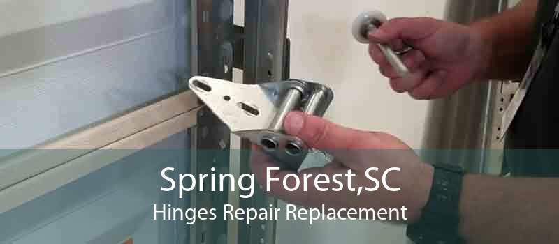 Spring Forest,SC Hinges Repair Replacement