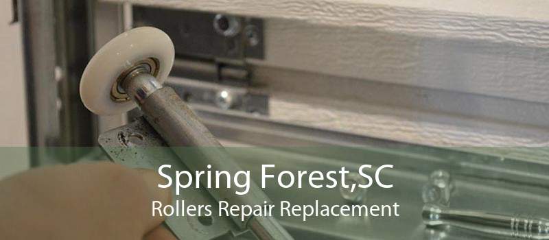 Spring Forest,SC Rollers Repair Replacement
