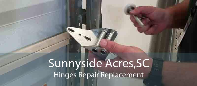 Sunnyside Acres,SC Hinges Repair Replacement