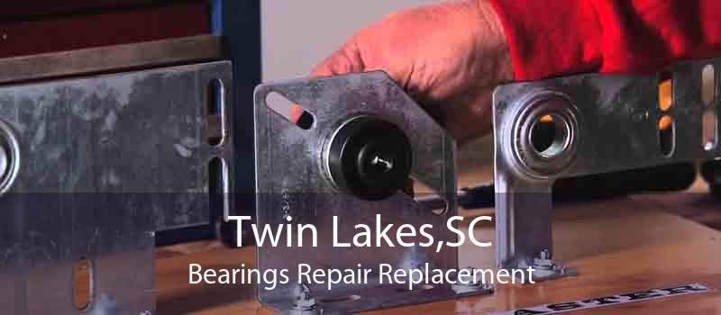Twin Lakes,SC Bearings Repair Replacement