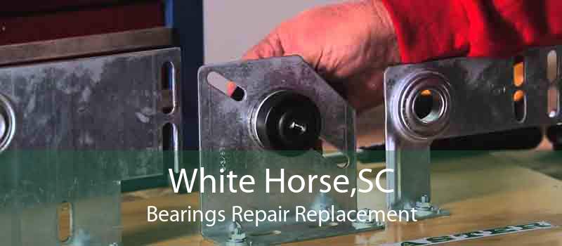 White Horse,SC Bearings Repair Replacement