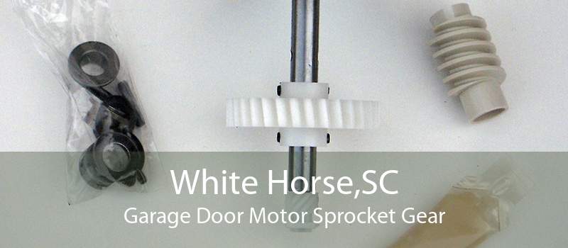 White Horse,SC Garage Door Motor Sprocket Gear