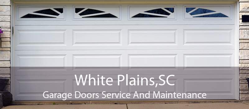 White Plains,SC Garage Doors Service And Maintenance